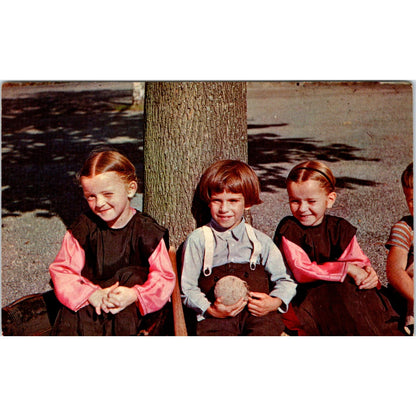 Three Amish Boys Relax Under a Tree PA Dutch Vintage Postcard PD4