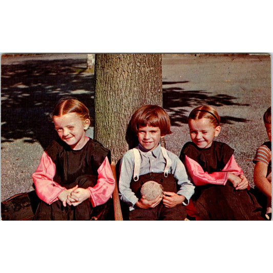 Three Amish Boys Relax Under a Tree PA Dutch Vintage Postcard PD4