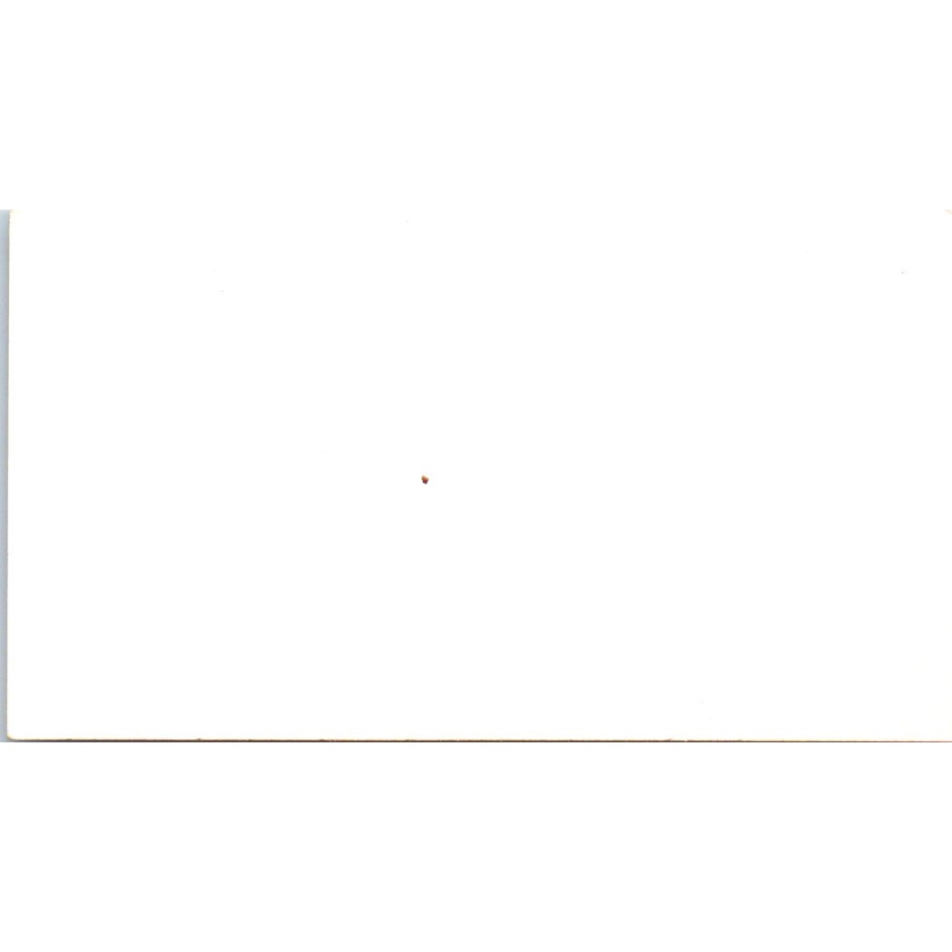 Royal Palace Chinese Restaurant Houston TX Vintage Business Card SE3-B6