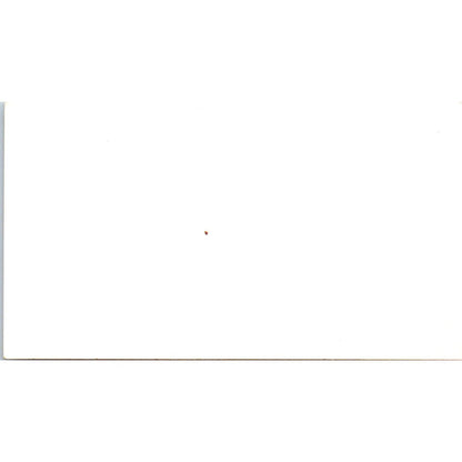 Royal Palace Chinese Restaurant Houston TX Vintage Business Card SE3-B6