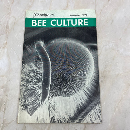 1970 Dec Gleanings in Bee Culture Magazine Bees Beekeeping Honey TD7