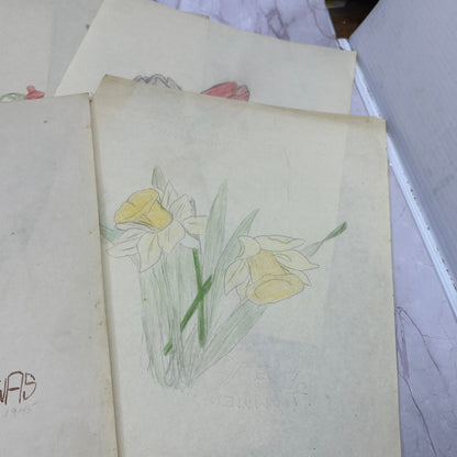 1940s Lot Flower Floral Sketches & Studies Winifred Schutsky Pratt Institute TC5