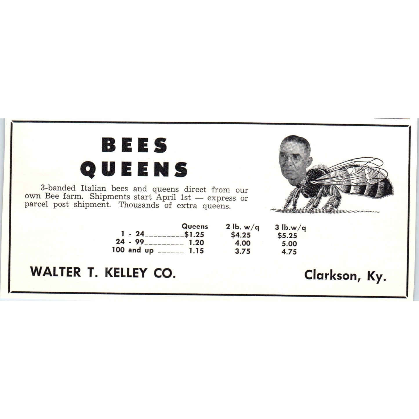 Bees Queens Walter T. Kelley Co Clarkson KY 1961 Magazine Ad AB6-LB