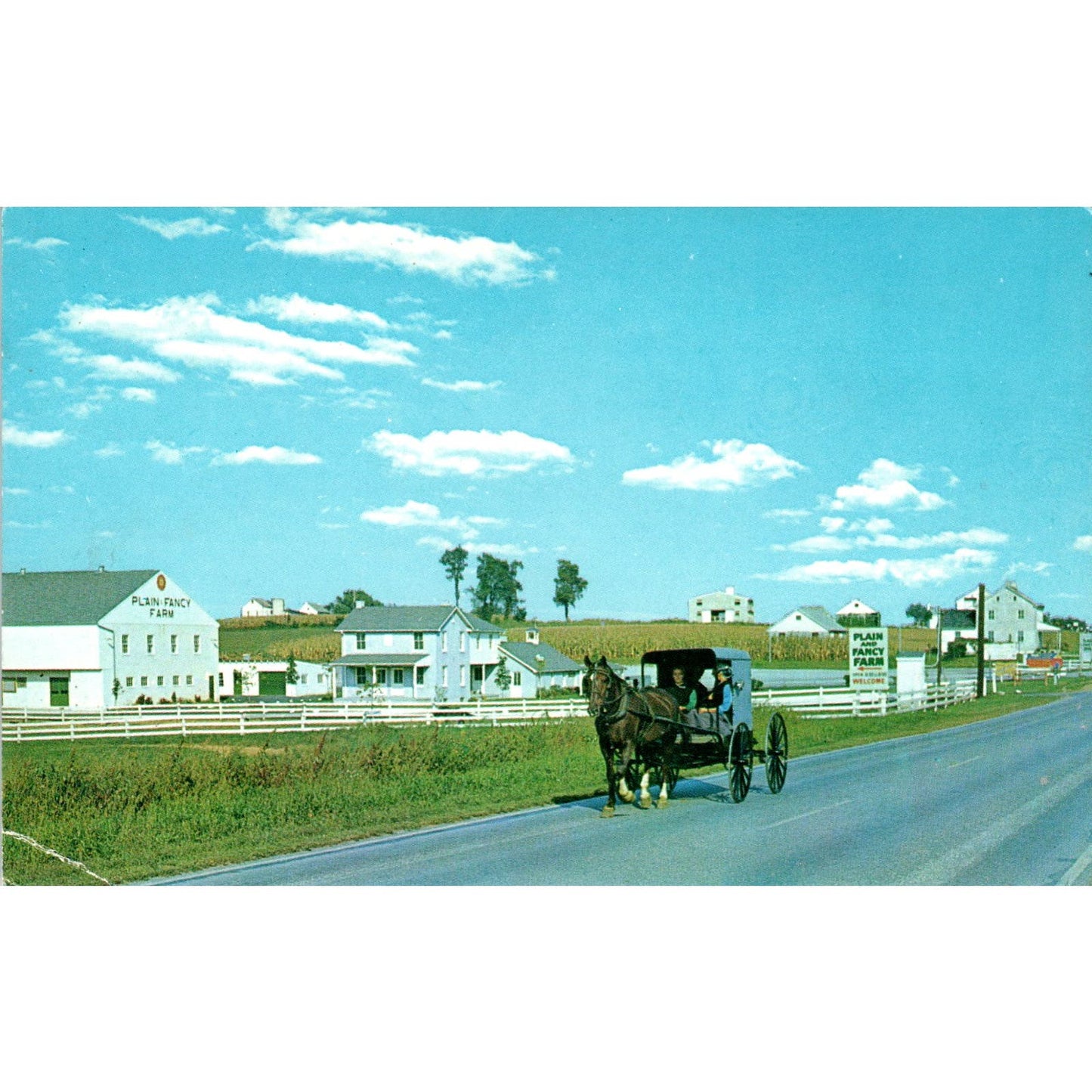 Amish Family Buggy Route 340 Intercourse Pennsylvania Dutch Country Postcard PD7