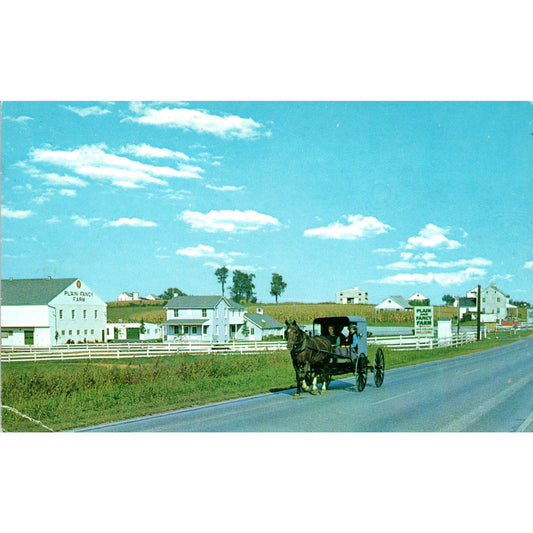 Amish Family Buggy Route 340 Intercourse Pennsylvania Dutch Country Postcard PD7