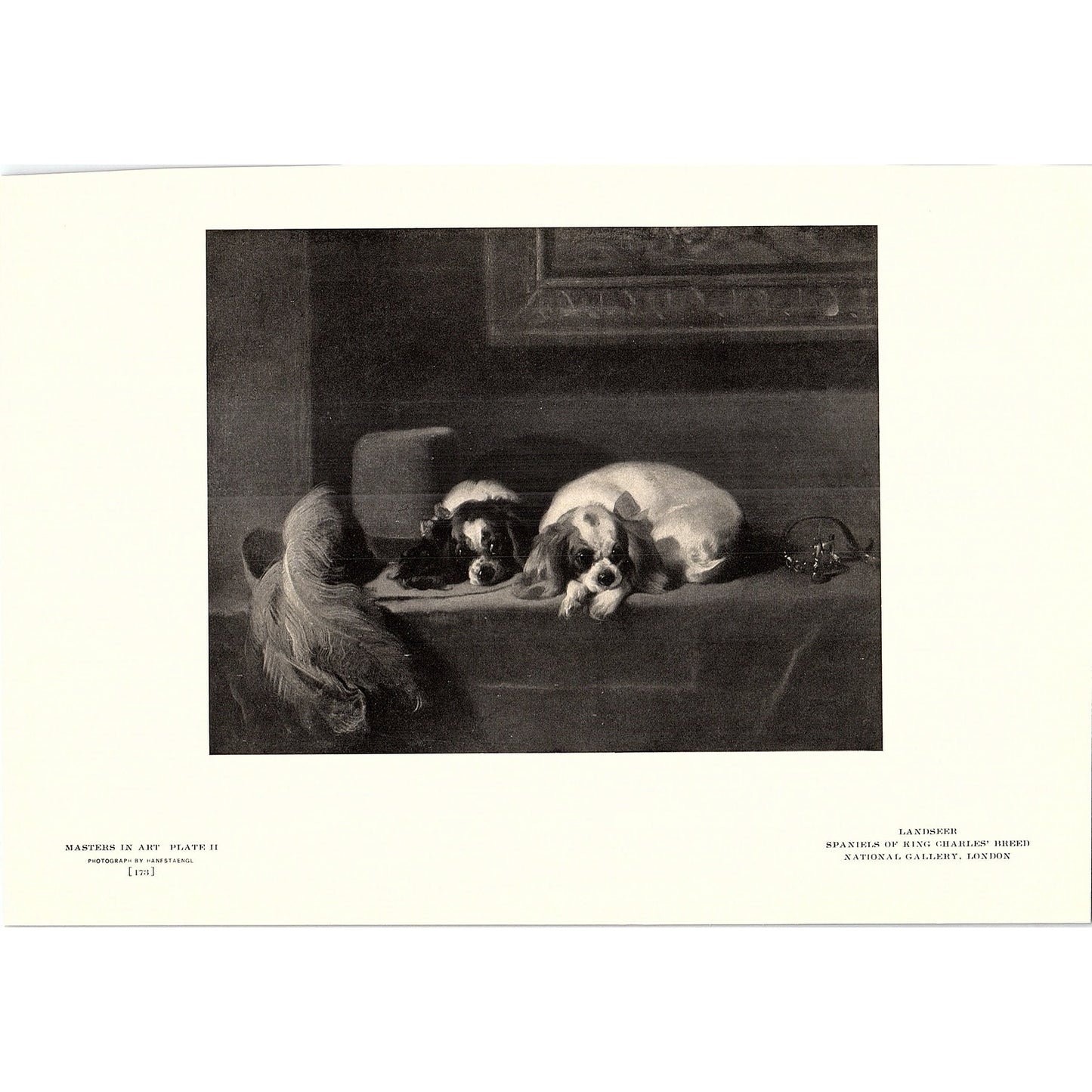 Spaniels of King Charles' Breed - Landseer - 1904 Litho Art Print AF5-2