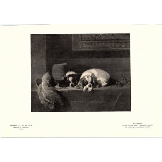Spaniels of King Charles' Breed - Landseer - 1904 Litho Art Print AF5-2