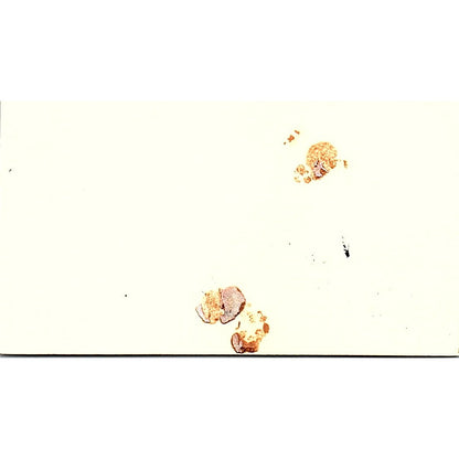 Jory David Stein Motorola Houston Vintage Business Card SC9-B2