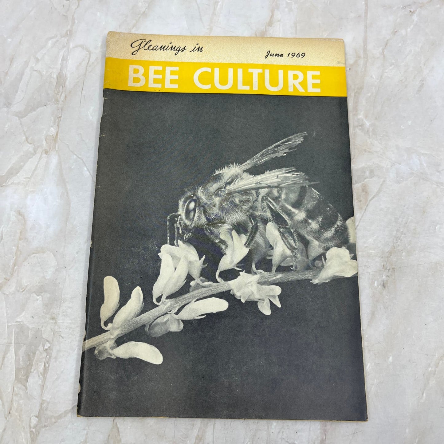 1969 June Gleanings in Bee Culture Magazine Bees Beekeeping Honey TD7