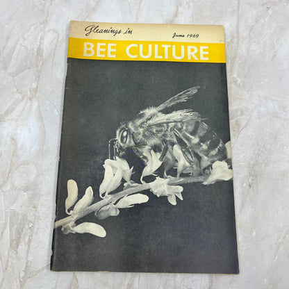 1969 June Gleanings in Bee Culture Magazine Bees Beekeeping Honey TD7