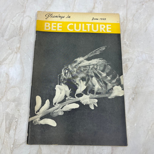 1969 June Gleanings in Bee Culture Magazine Bees Beekeeping Honey TD7