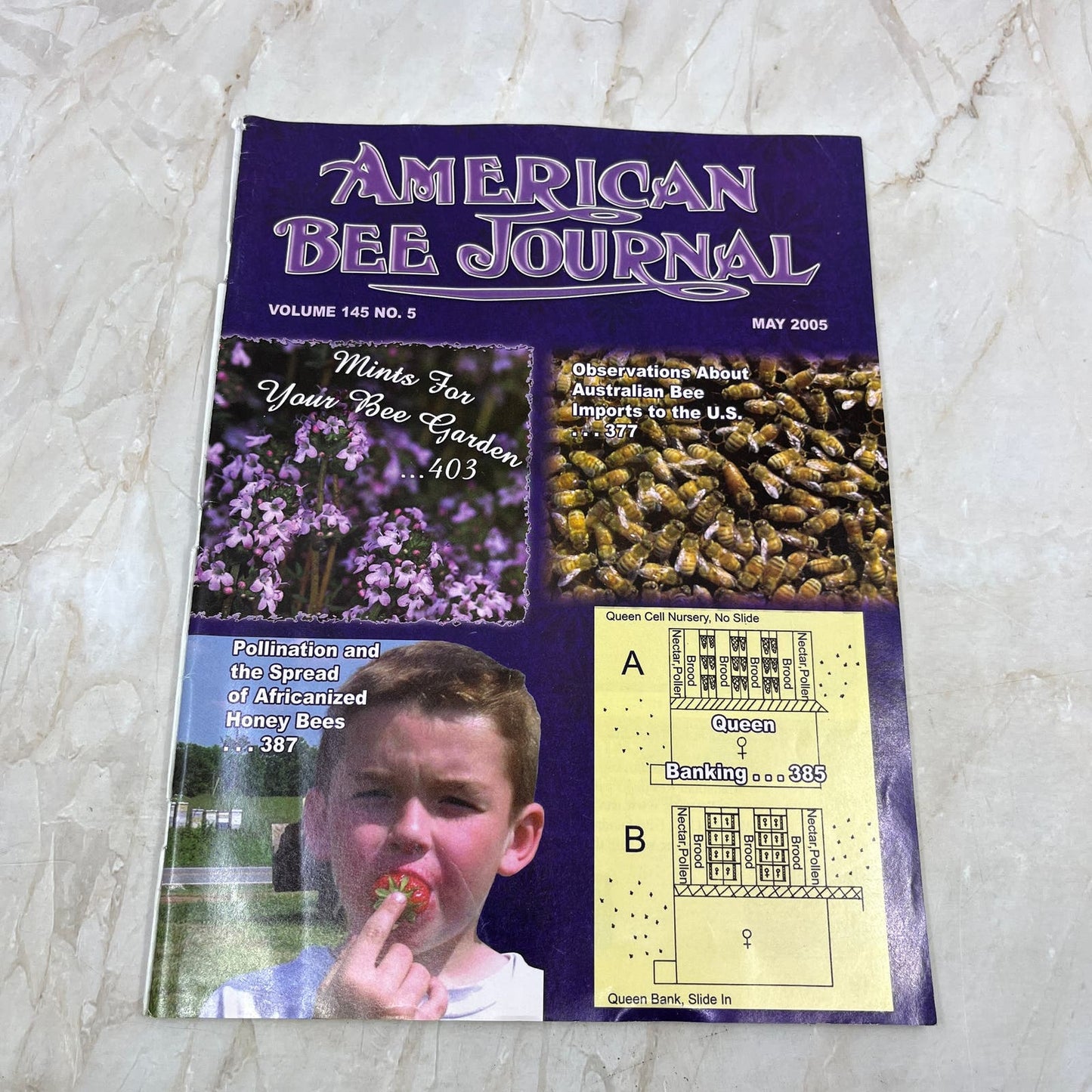 2005 May American Bee Journal Magazine Bees Beekeeping Honey M8