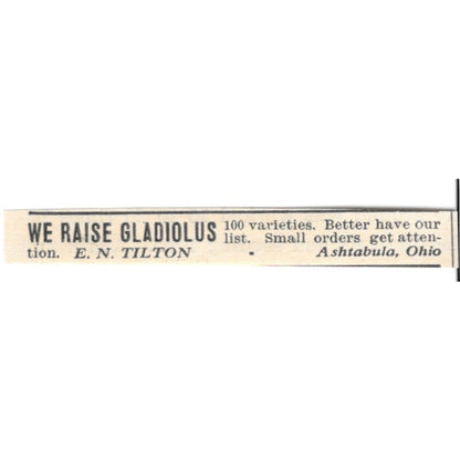 E.N. Tilton Gladiolus Ashtabula Ohio 1924 Ad AG3-S7