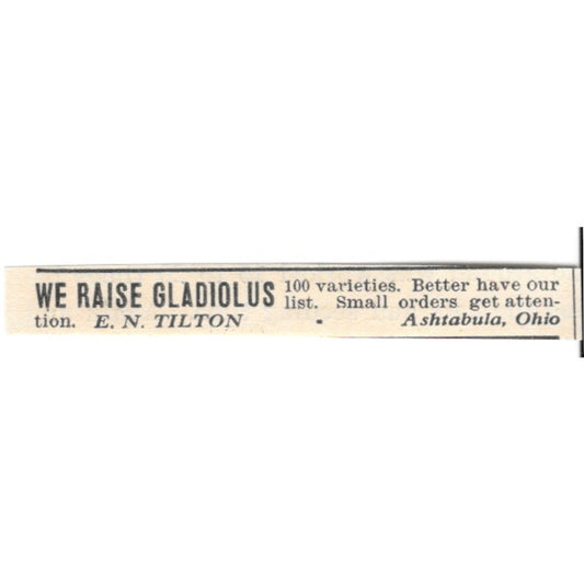 E.N. Tilton Gladiolus Ashtabula Ohio 1924 Ad AG3-S7