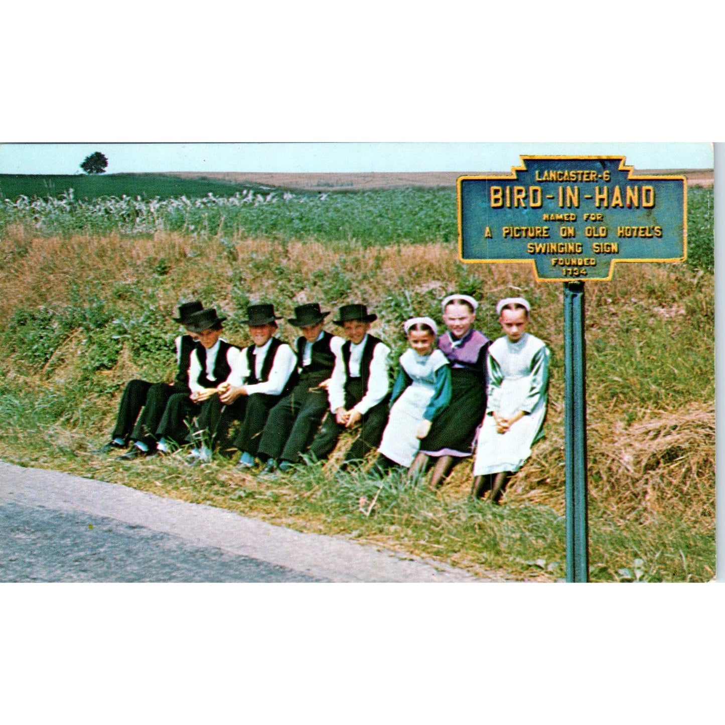 Amish Boys & Girls Bird-in-Hand Pennsylvania Dutch Country Vintage Postcard PD5