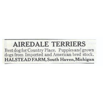 Airedale Terriers Halstead Farm South Haven MI 1913 Magazine Advertisement AE7N8