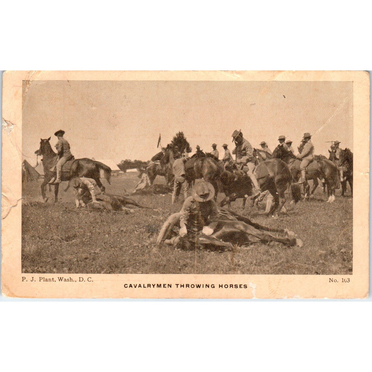 c1908 Spanish American War Cavalrymen Throwing Horses Original Postcard PD2