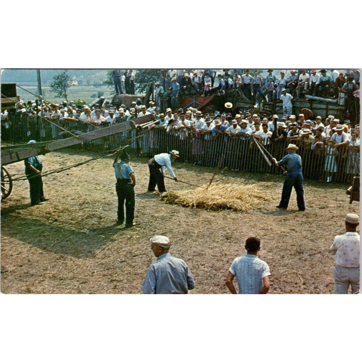 Old Time Amish Grain Flailing Scene Pennsylvania Dutch Country Postcard PD8