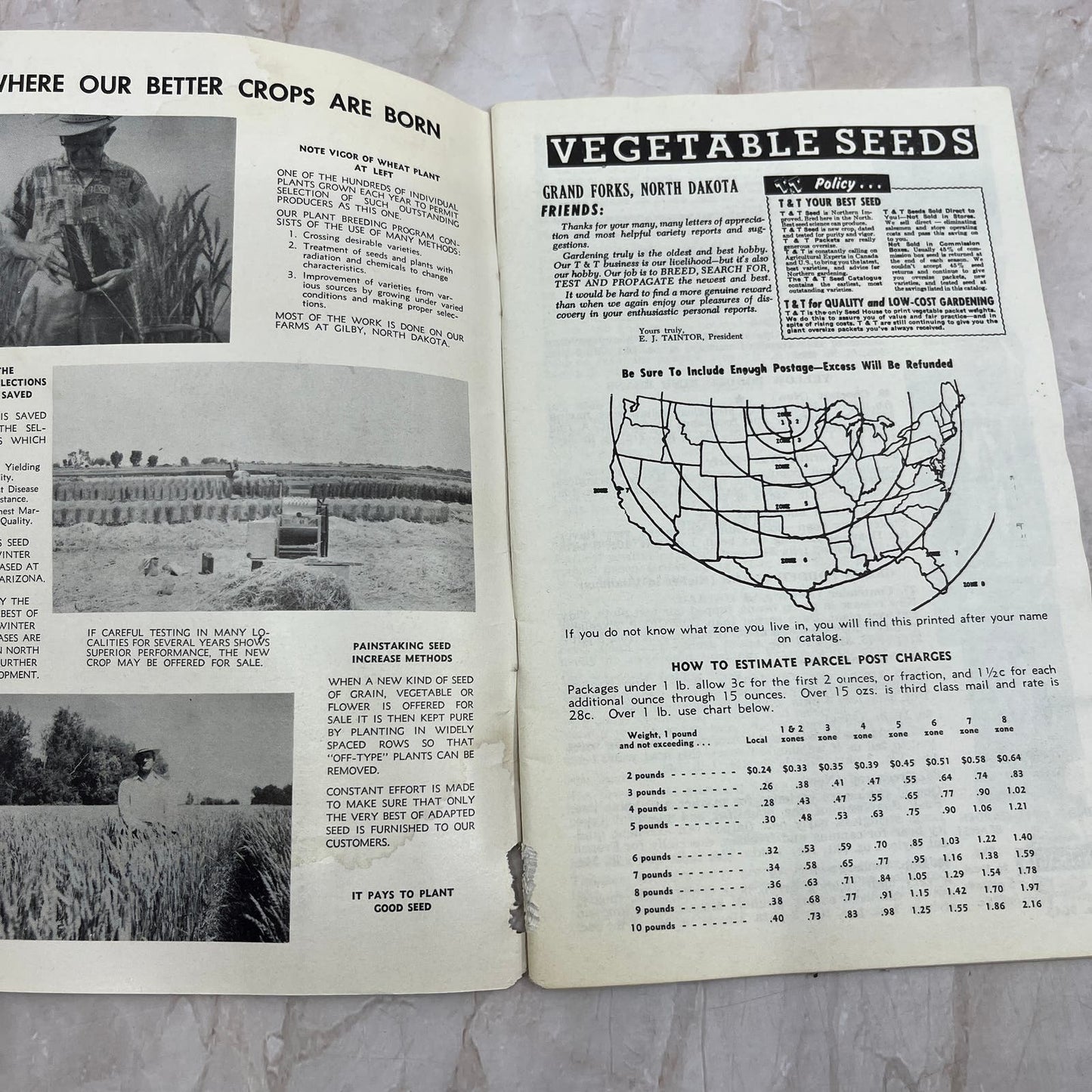 1961 T&T Seeds Catalog Grand Forks North Dakota TI9-P2