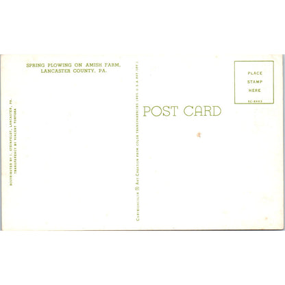 Spring Plowing Amish Farm Lancaster Pennsylvania Dutch Country Postcard PD8