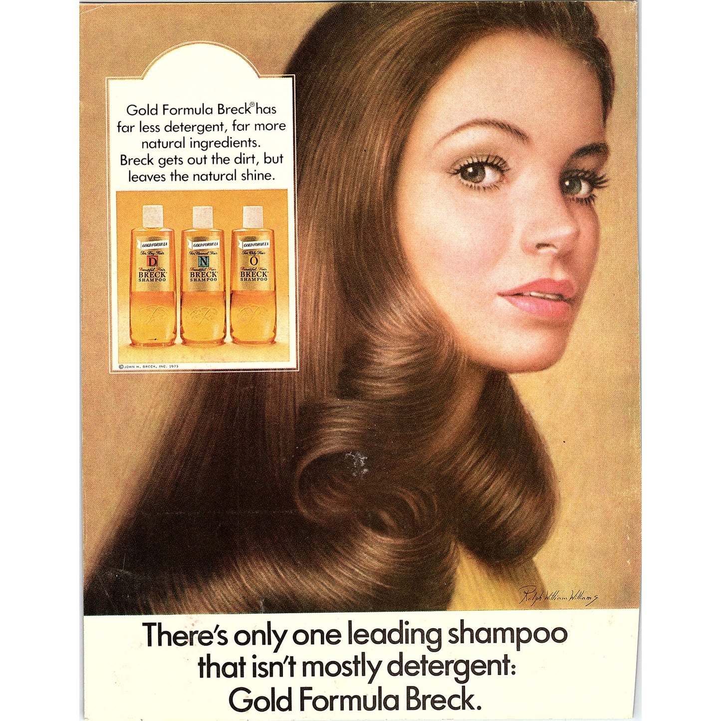 Gold Formula Breck Shampoo Vintage Magazine Ad 8x11 V7