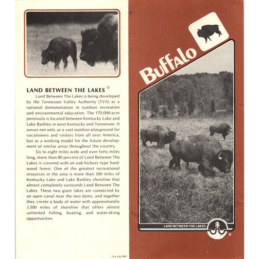 Vtg Buffalo Land Between The Lakes Tennessee River Valley Travel Brochure TF4-B2