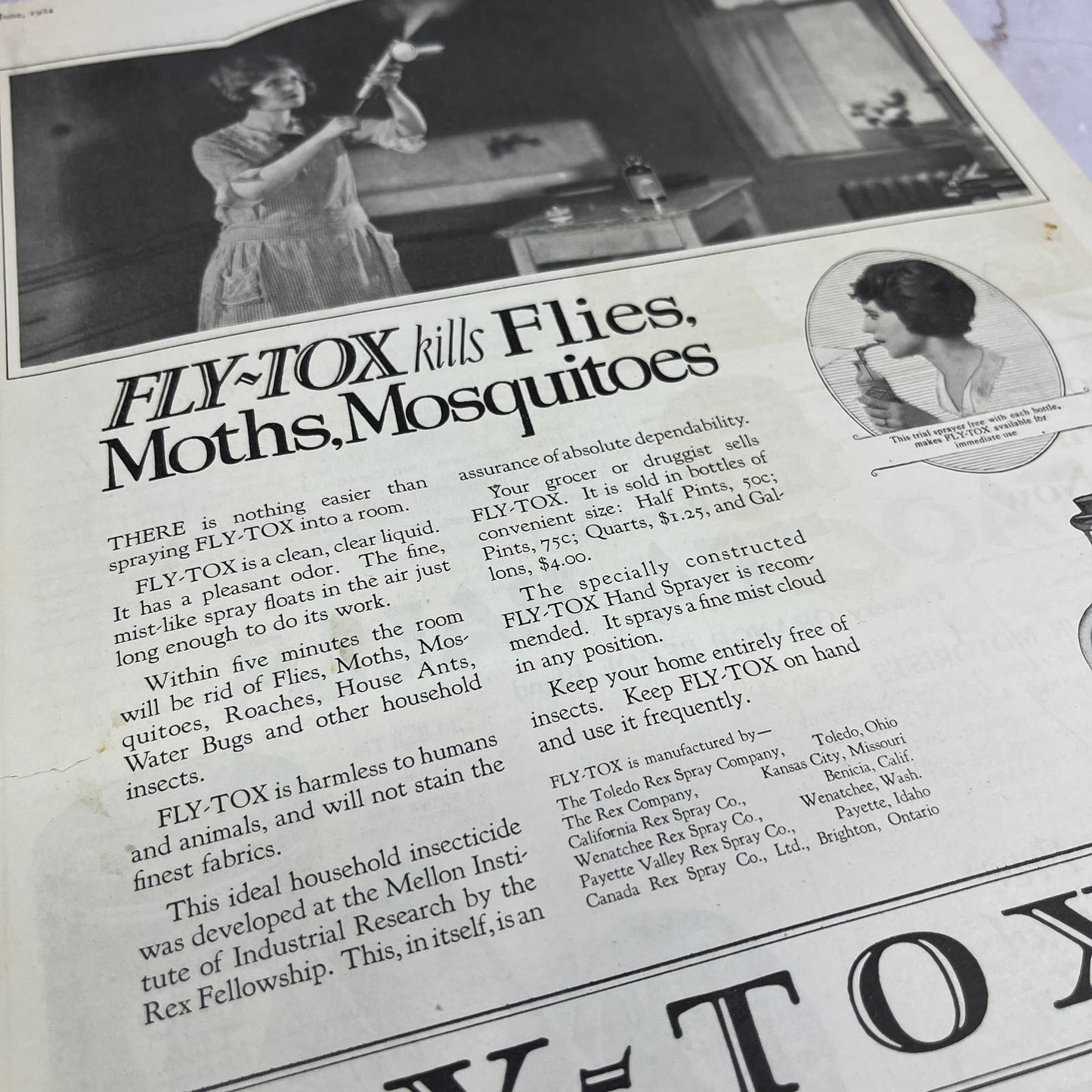 Fly-Tox Mosquito and Bug Killer Toledo OH 1924 Magazine Ad FL6-11