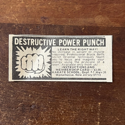Destructive Power Punch - Karate School, Wanamassa NJ 1974 Ad AG1-S17