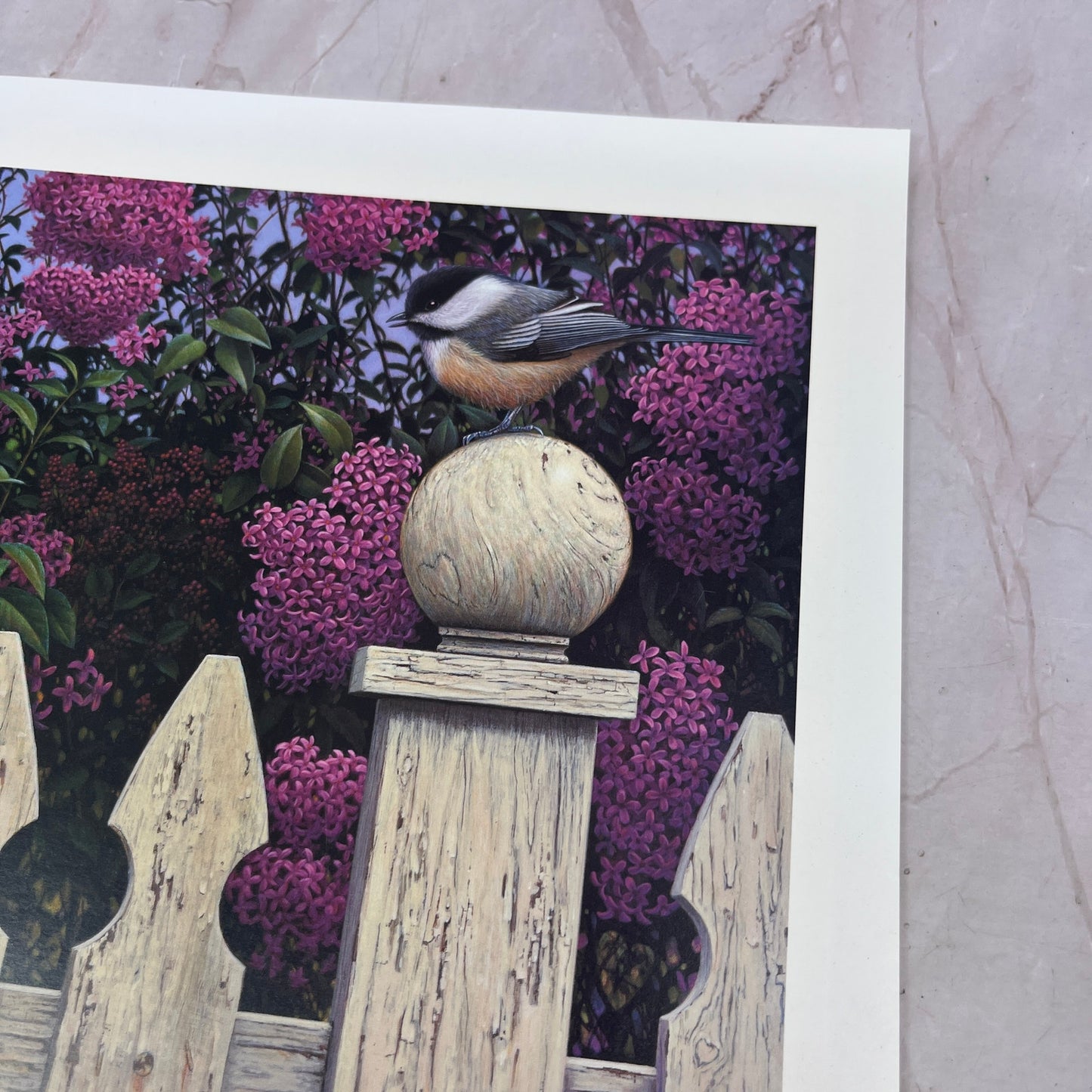 Love Song Kim Nolan Chickadee Bird Art Print 2001 11x13.5" FL6-11