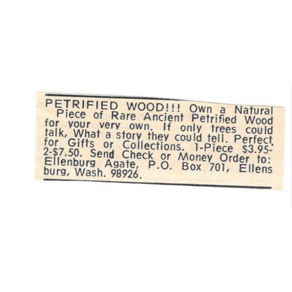Ellensburg Agate Petrified Wood Ellensburg WA 1977 Ad AF6-S7