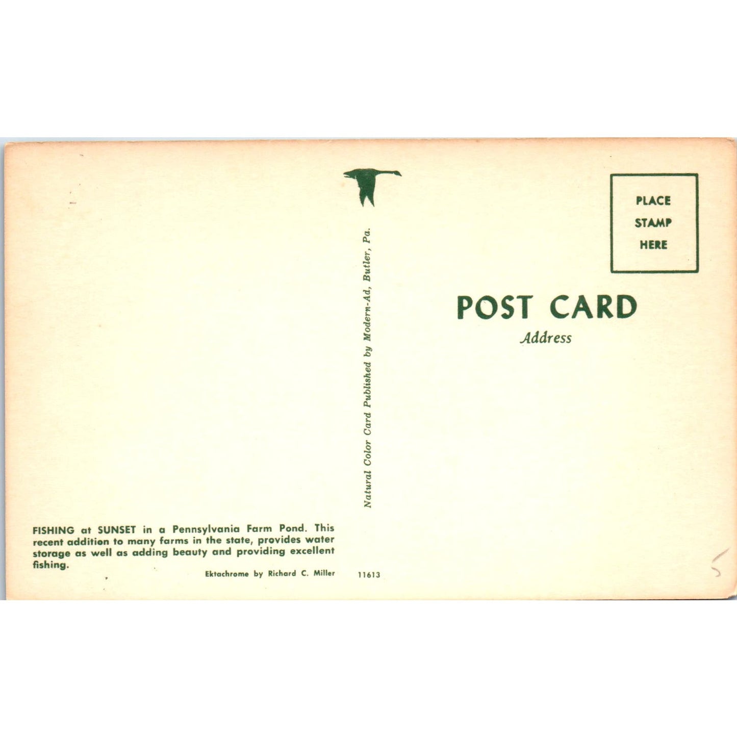 Farm Pond Fishing at Sunset PA Dutch Country Vintage Postcard PD1