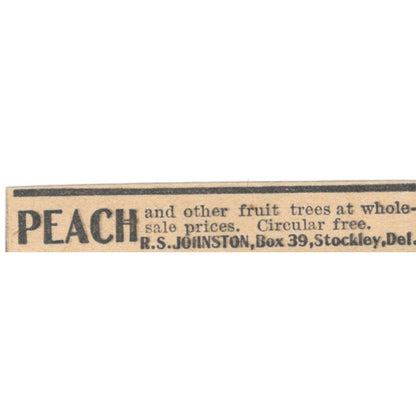 R.S. Johnston Peach Fruit Trees Stockley DE 1905 Magazine Ad AF1-NES3