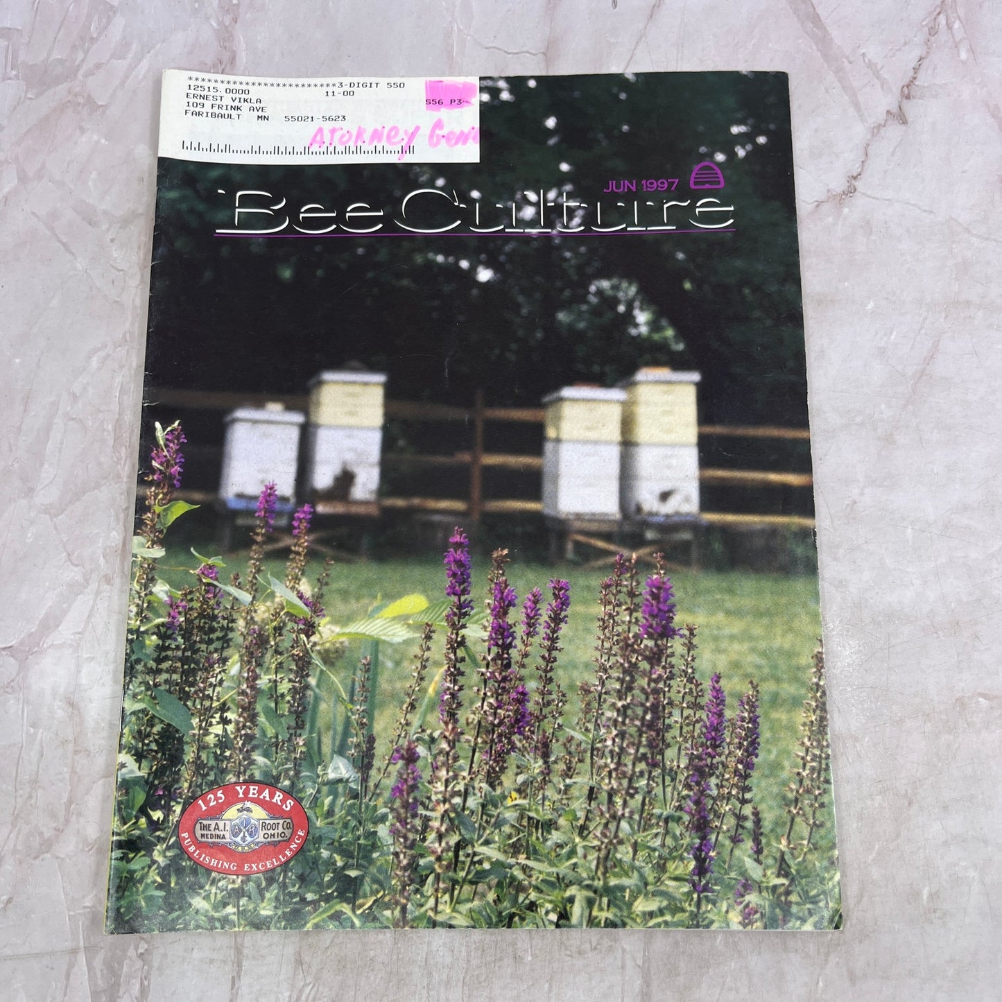 1997 June - Bee Culture Magazine - Bees Beekeeping Honey M33