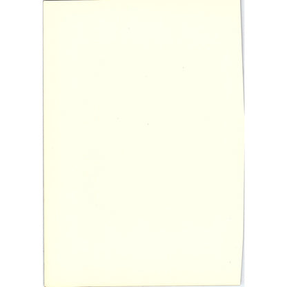 The Idle Servant - Maes - 1908 Litho Art Print AF5-5
