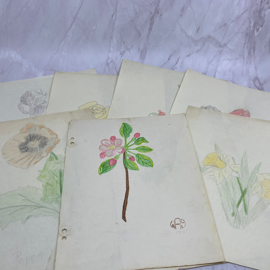 1940s Lot Flower Floral Sketches & Studies Winifred Schutsky Pratt Institute TC5