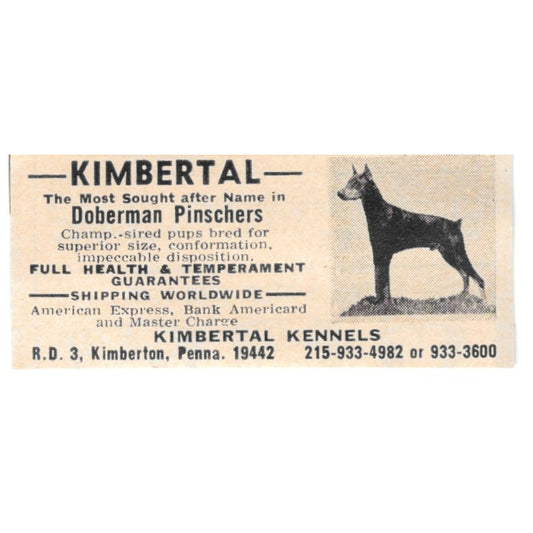 Kimbertal Kennels Doberman Pinschers Kimberton PA 1977 Ad AF6-S1