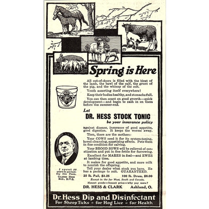 Dr. Hess & Clark Stock Tonic for Livestock Ashland Ohio 1924 Ad AG3-4