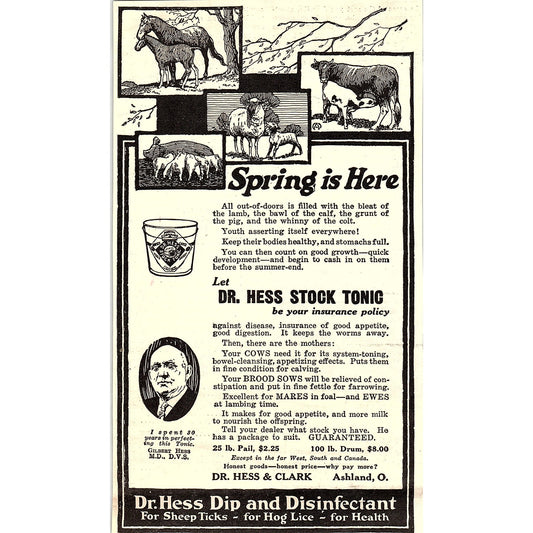 Dr. Hess & Clark Stock Tonic for Livestock Ashland Ohio 1924 Ad AG3-4