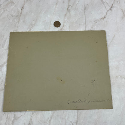 Antique Photograph View of Central Park from Hills Island New York 8x10 TG9-E1