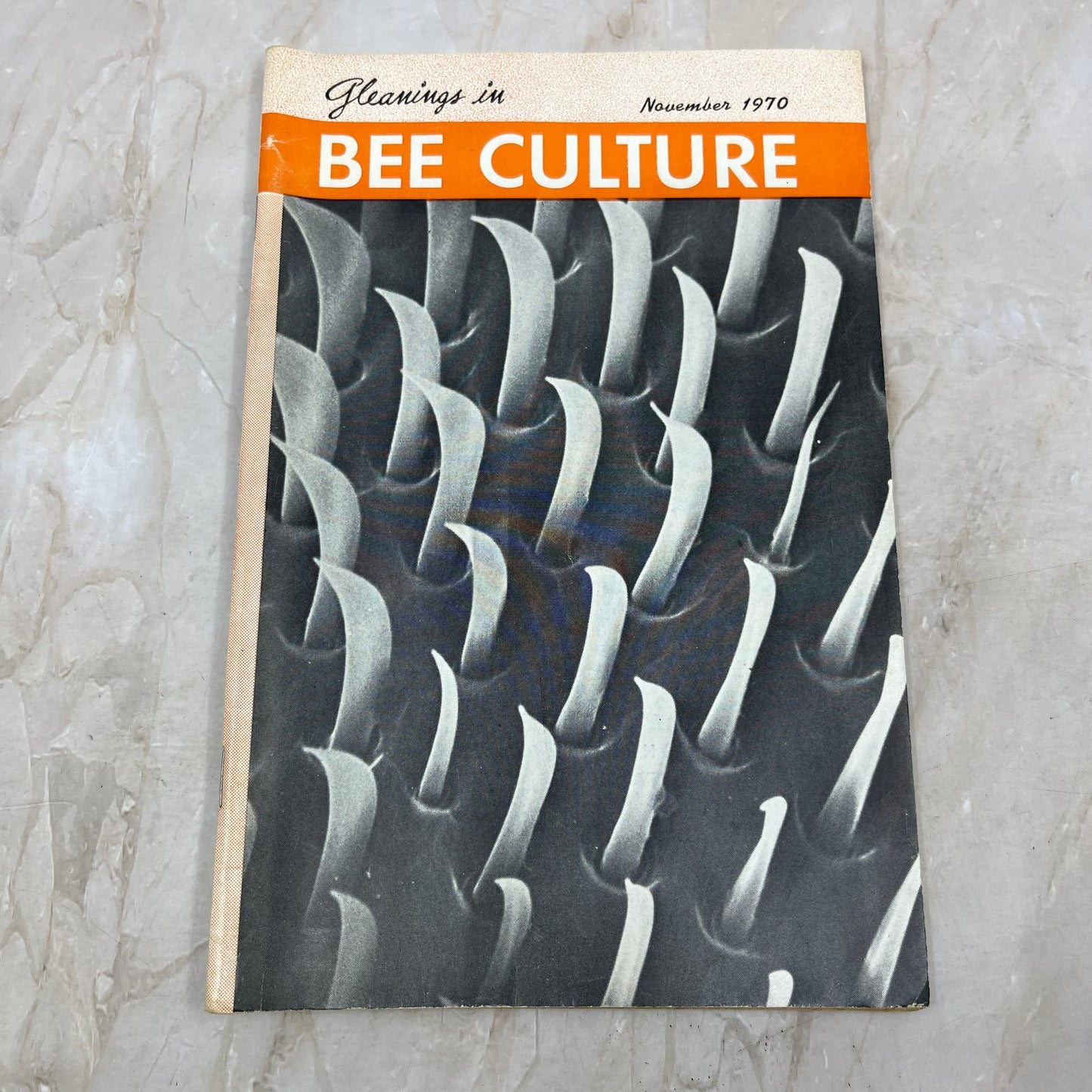 1970 Nov Gleanings in Bee Culture Magazine Bees Beekeeping Honey TD7