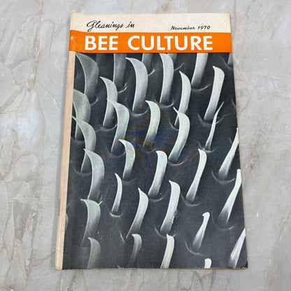 1970 Nov Gleanings in Bee Culture Magazine Bees Beekeeping Honey TD7