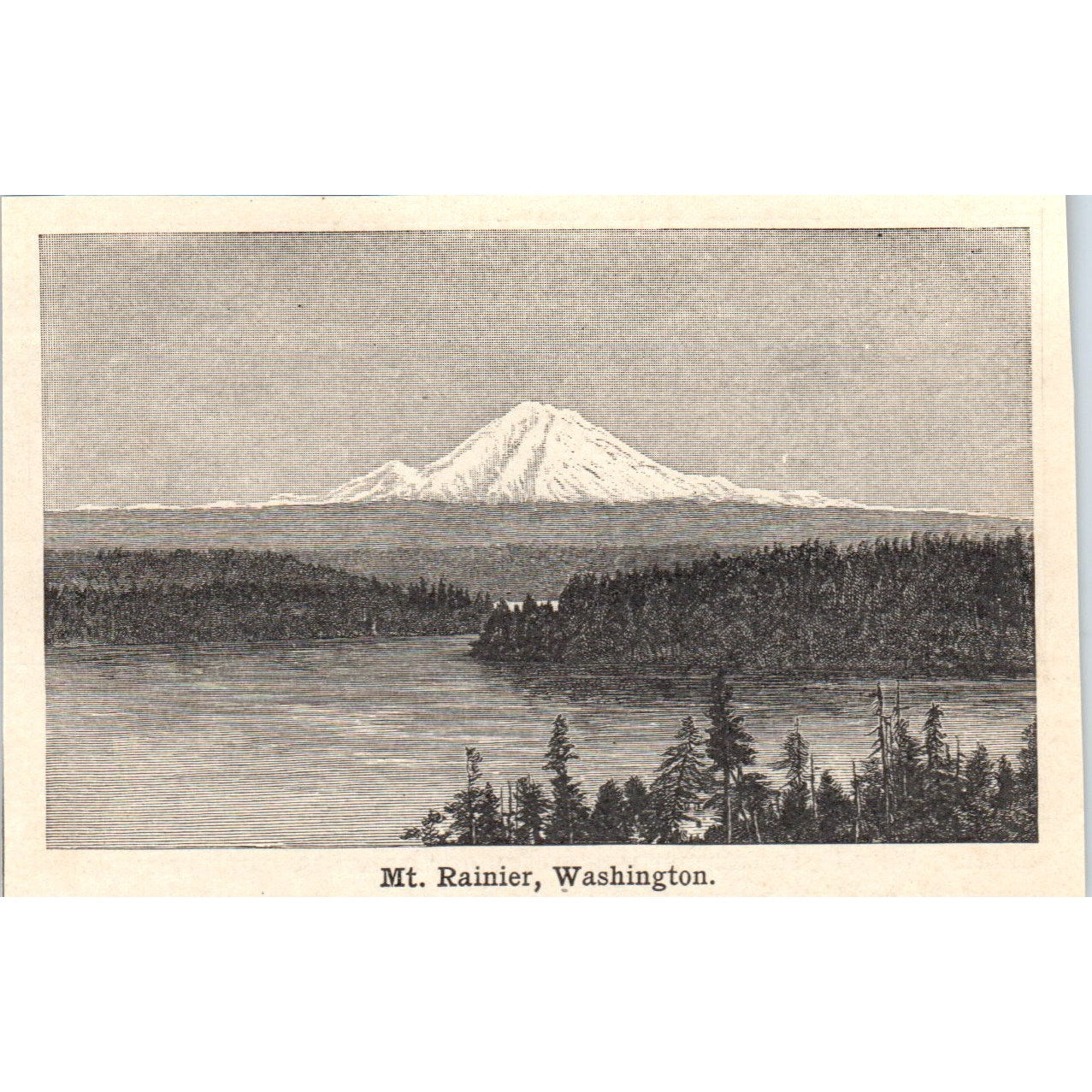 Mount Rainier Washington 1901 Engraving AF2-P3