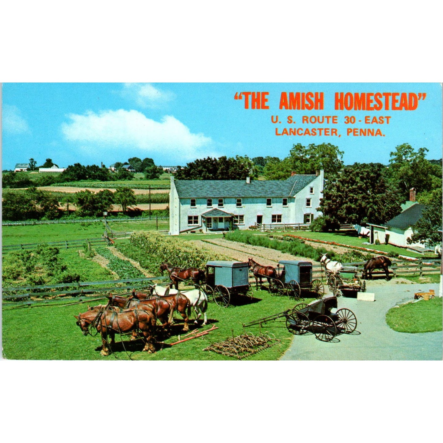Amish Homestead Lincoln Hwy Lancaster Pennsylvania Dutch Country Postcard PD7