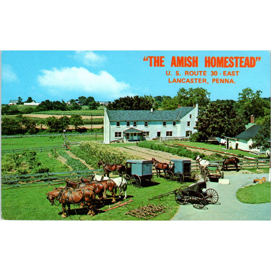 Amish Homestead Lincoln Hwy Lancaster Pennsylvania Dutch Country Postcard PD7