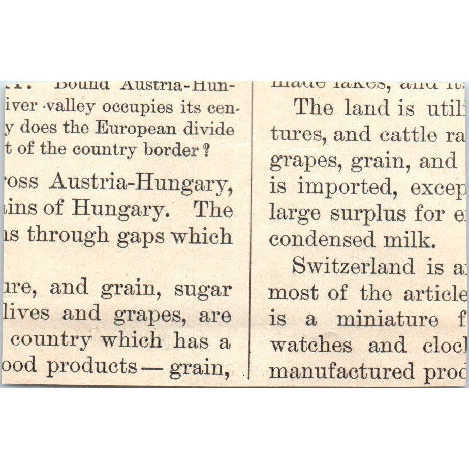 Dog Pulling a Milk Cart in Holland 1901 Engraving AF2-P1