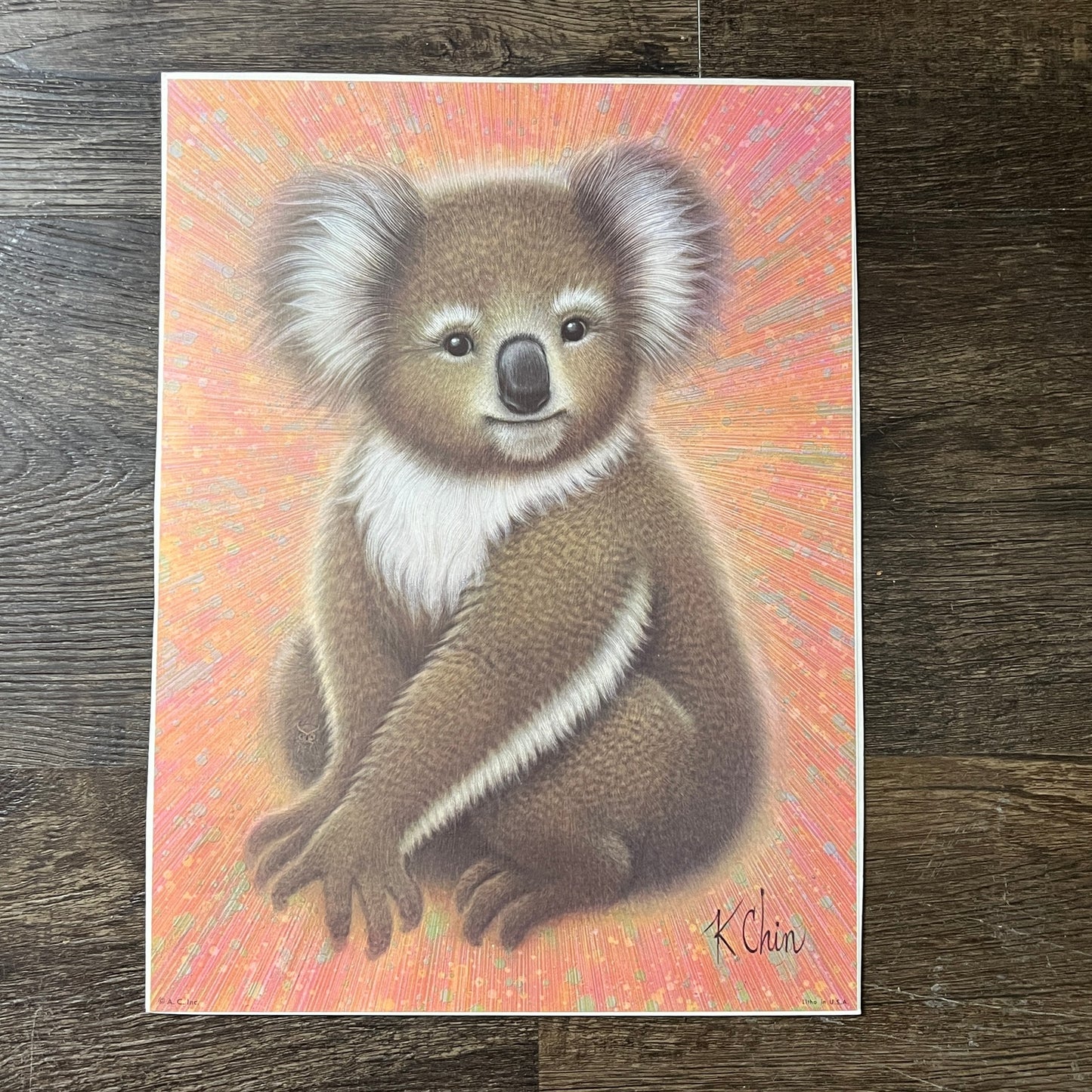 1970s Koala Bear - K Chin Retro Kitsch Lithograph Art Print 9x12 V8