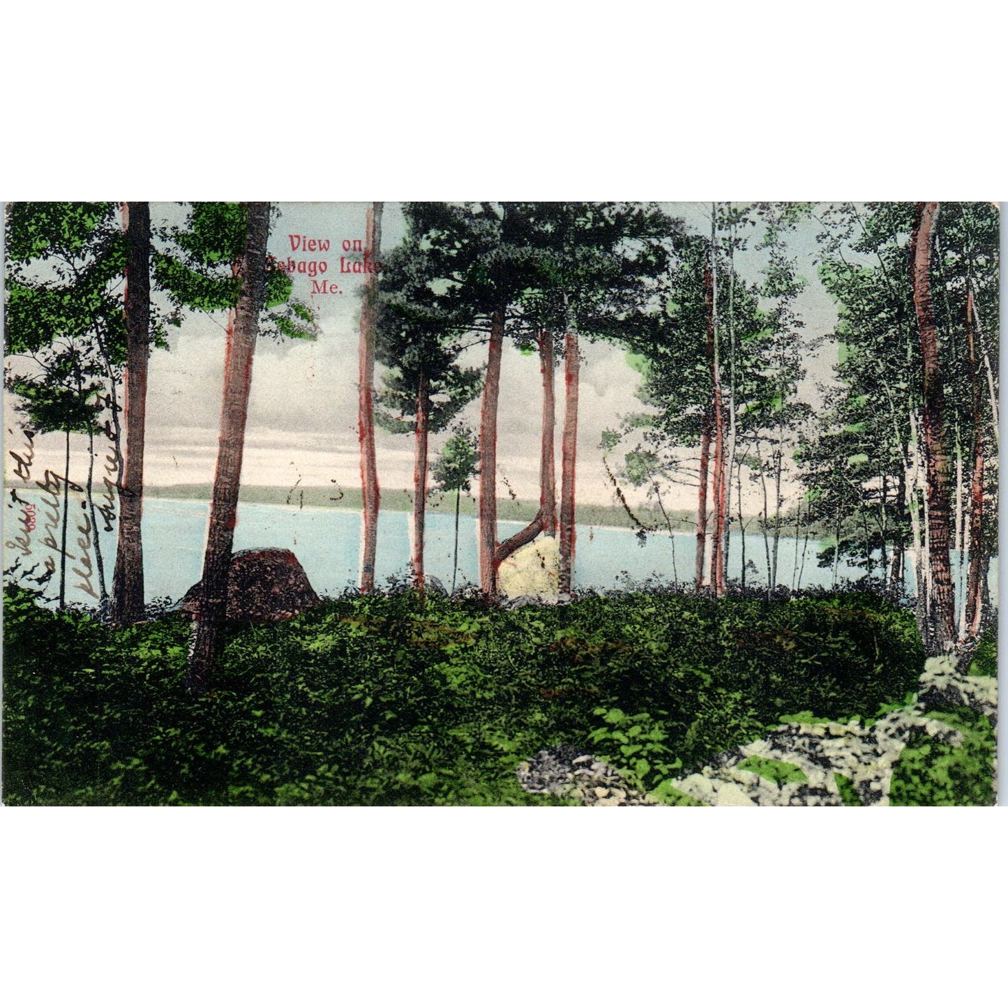c1905 View on Sebago Lake Maine Original Postcard PC10