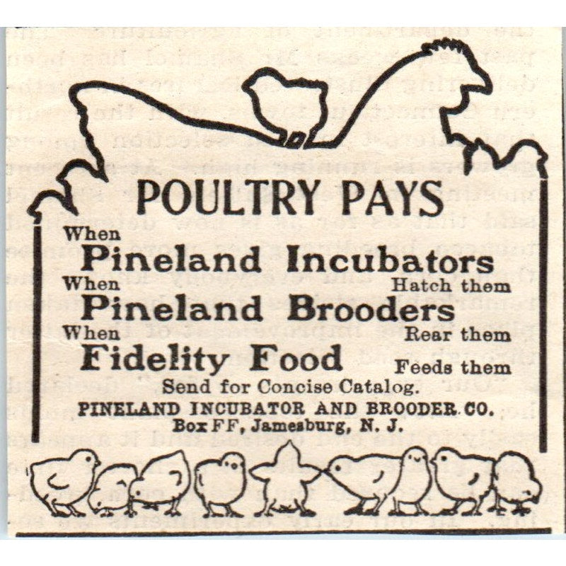 Pineland Incubator and Brooder Co Jamesburg NJ 1905 Magazine Ad AF1-NH2
