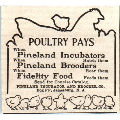 Pineland Incubator and Brooder Co Jamesburg NJ 1905 Magazine Ad AF1-NH2