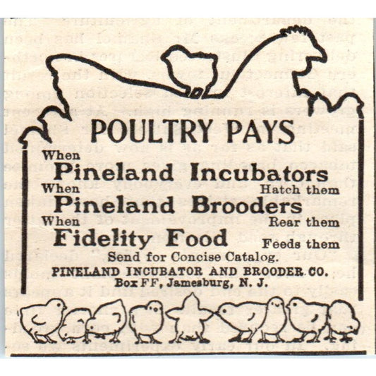 Pineland Incubator and Brooder Co Jamesburg NJ 1905 Magazine Ad AF1-NH2